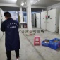 海南海口土鸡苗批发市场 小鸡苗那里批发 红瑶鸡苗多少钱一只 漳州鸡苗